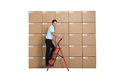 《生化危机8：村庄-黄金版》雇佣兵额外命令预告发布